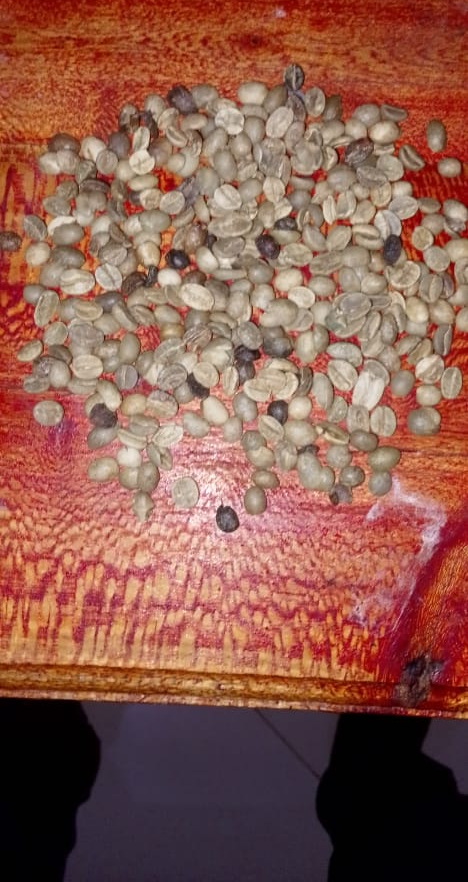 Arabica Coffee – 8 Tons Available